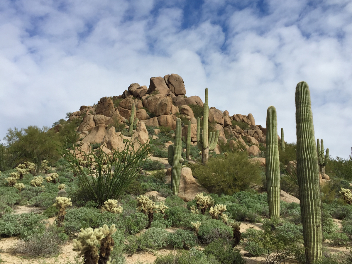 Scottsdale Arizona