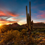 Is It Expensive To Live In Arizona